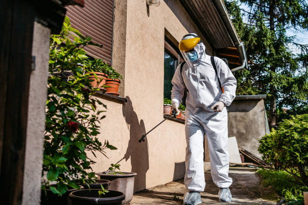 Best Emergency Pest Control  in Blackwater, AZ