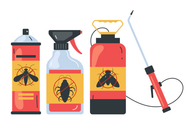 Best Affordable Pest Control Services  in Blackwater, AZ