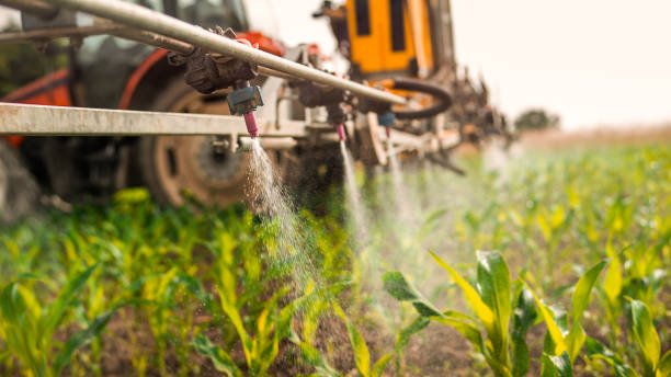 Pest Prevention Services in Blackwater, AZ